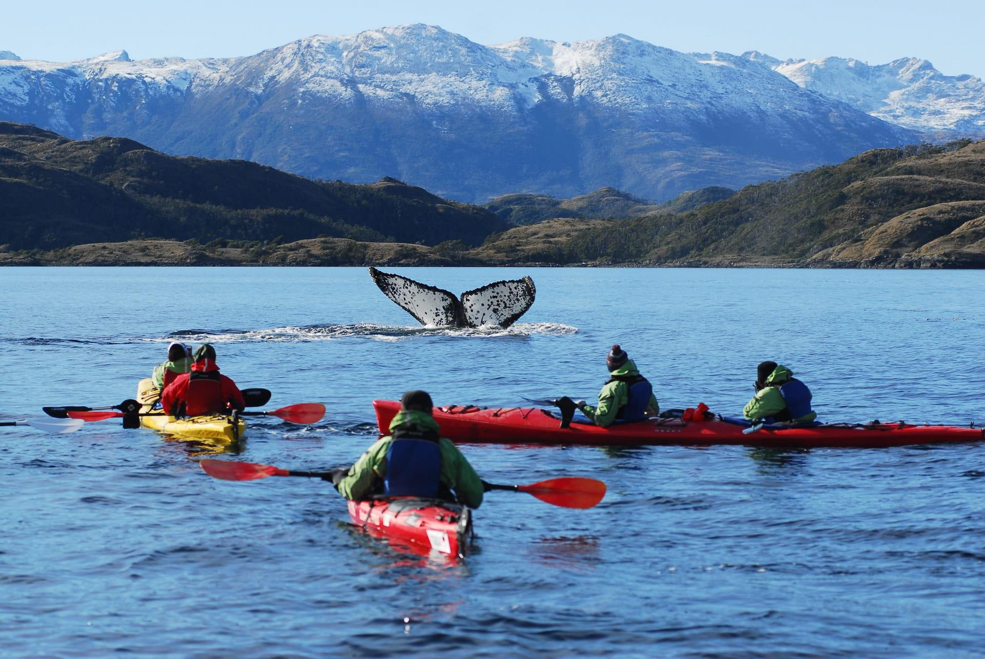 Estrecho de Magallanes